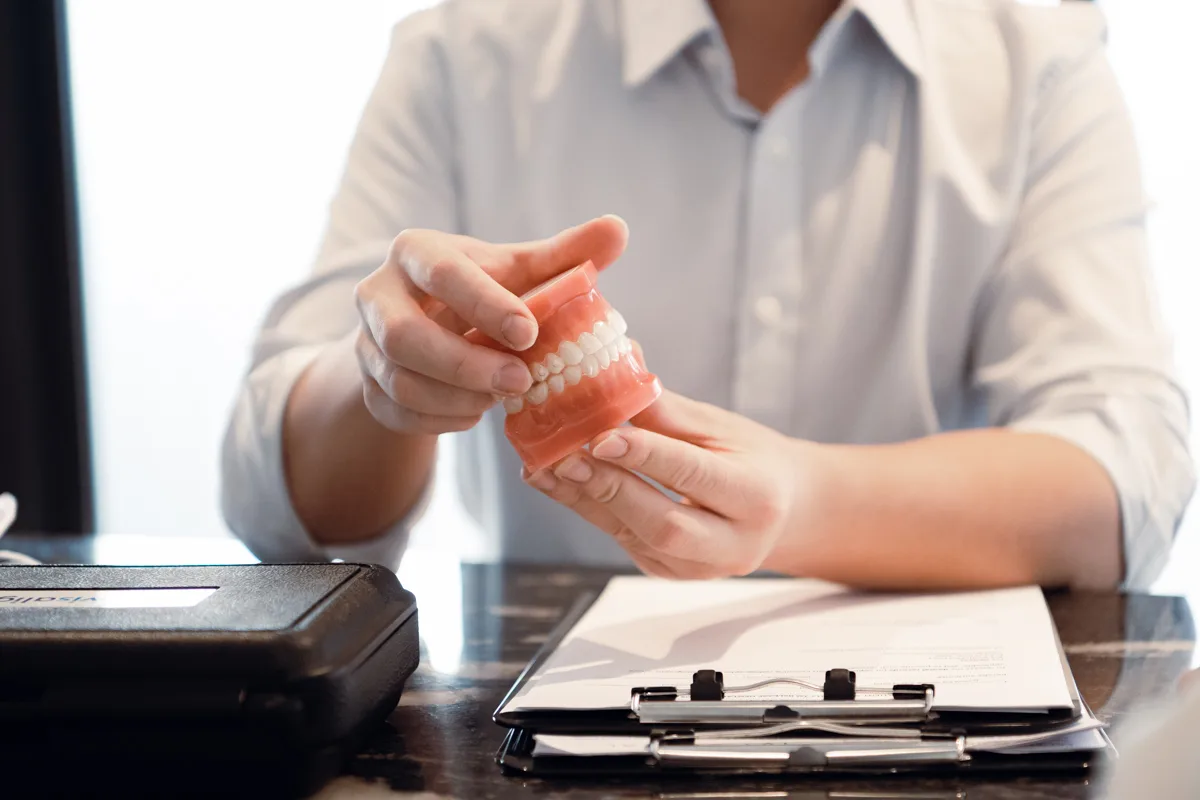 Dental model used to compare missing tooth replacement options during consultation